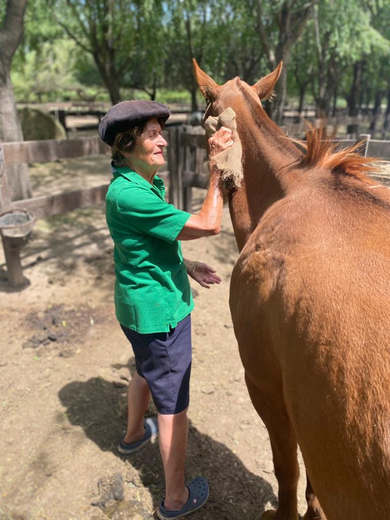 How Are Horses Tamed Horse Riding In Buenos Aires