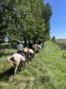 horse riding and health